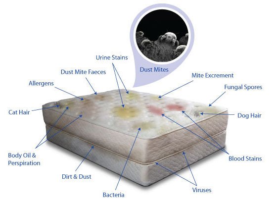 Residential mattress cleaning in san francisco