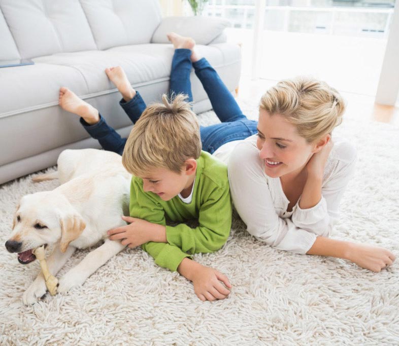 Residential Pet stain carpet cleaning in san francisco